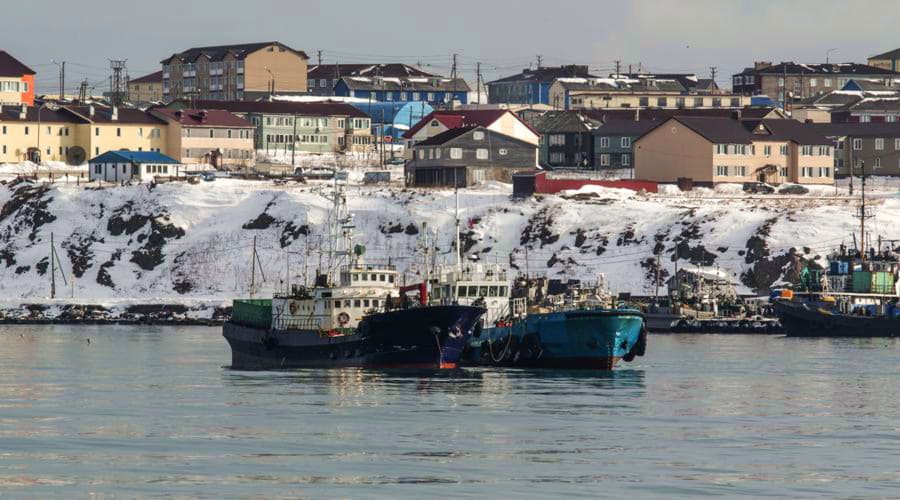 Wat zijn de populairste voertuigkeuzes in Joezjno-Sachalinsk?